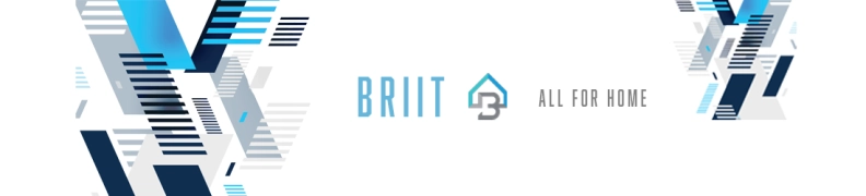 BRIIT glavna slika