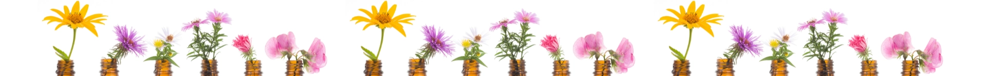 Mariepure heldenafbeelding