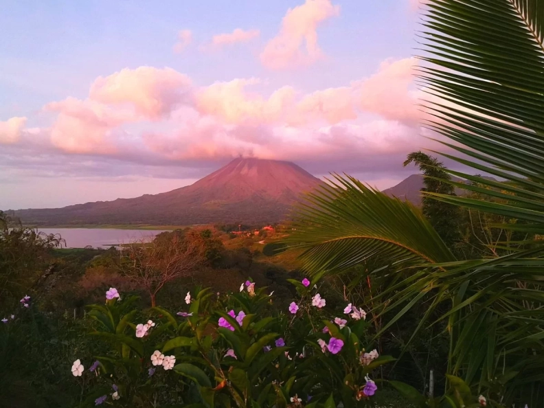 essencearenal.com hero image