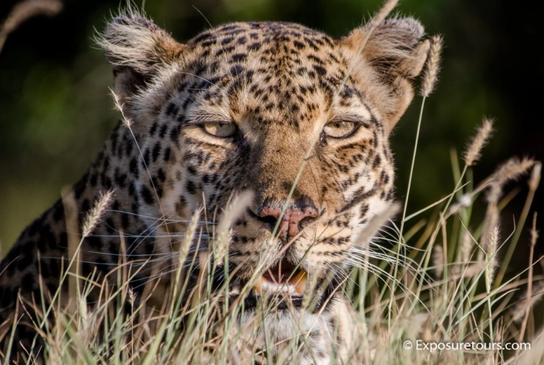 exposuretours.com hero image