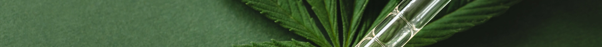 Le Cannaisseur heldenafbeelding