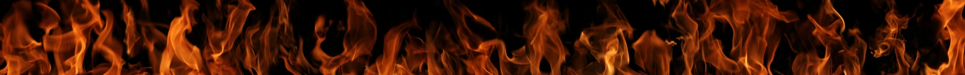 Wild Flame hero image