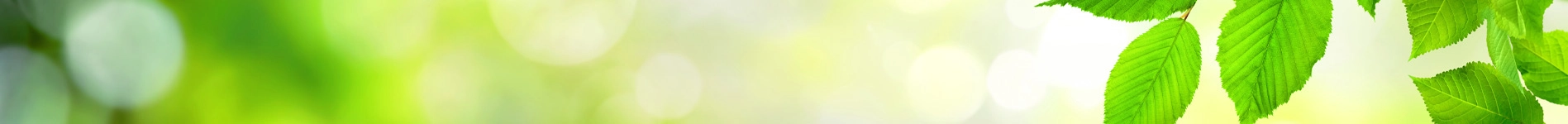 BACKWINKEL GmbH Heldenbild