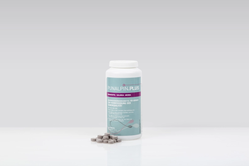 punalpin.de Heldenbild