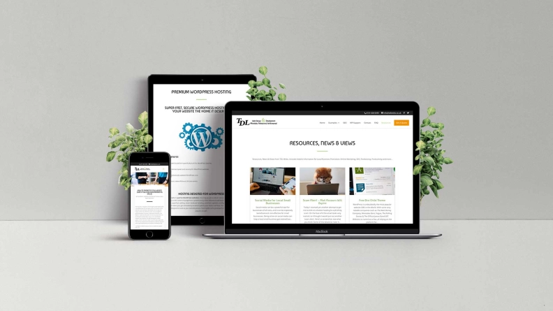 TDL Web Developments hero image