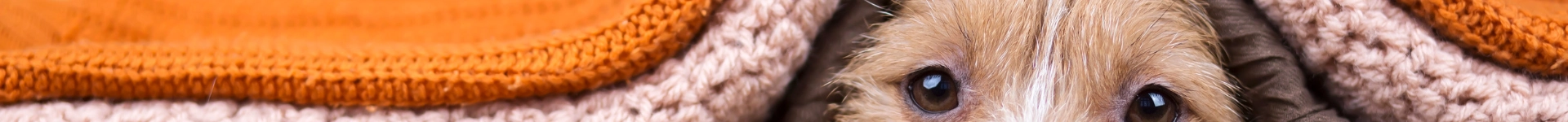 Potty Buddy hero image