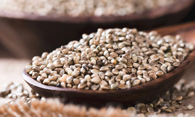 7 East Genetics hero image