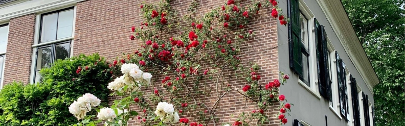 Belle-epoque heldenafbeelding