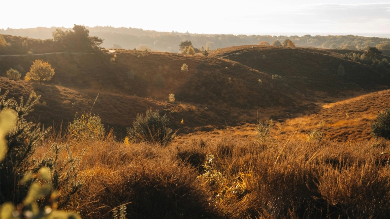 Vakantieveluwe.com heldenafbeelding