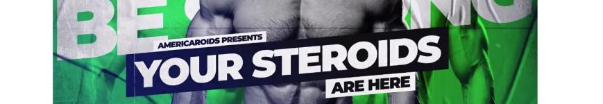 AmericaRoids.com hero image