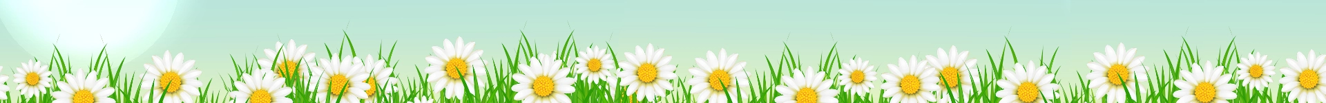 Image héro Éléphant et Souris