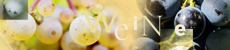 Pinard de Picard - Erlesene Weine und Feinkost Heldenbild