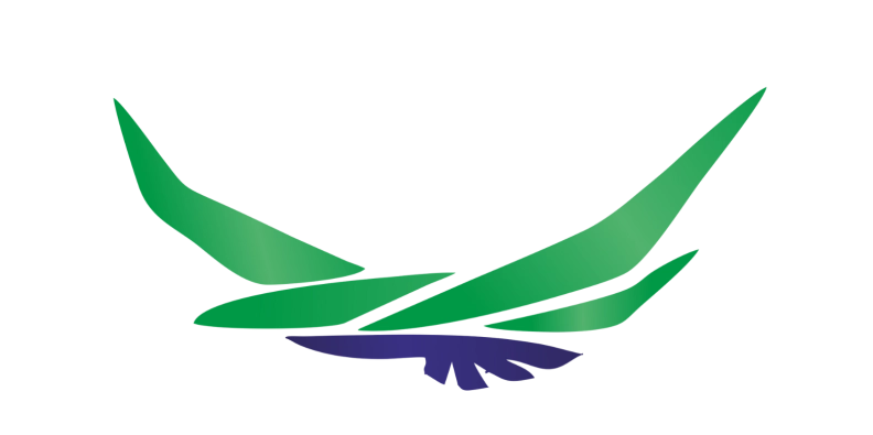 Softication hero image