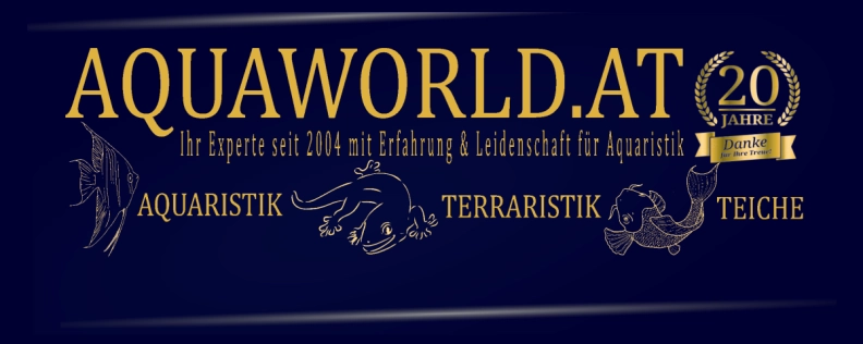 AQUAWORLD.AT Heldenbild