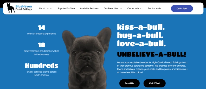 BlueHaven French Bulldogs hero image