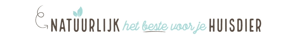 Cats & Dogs heldenafbeelding