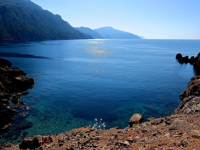 SEO Local Mallorca imagen destacada
