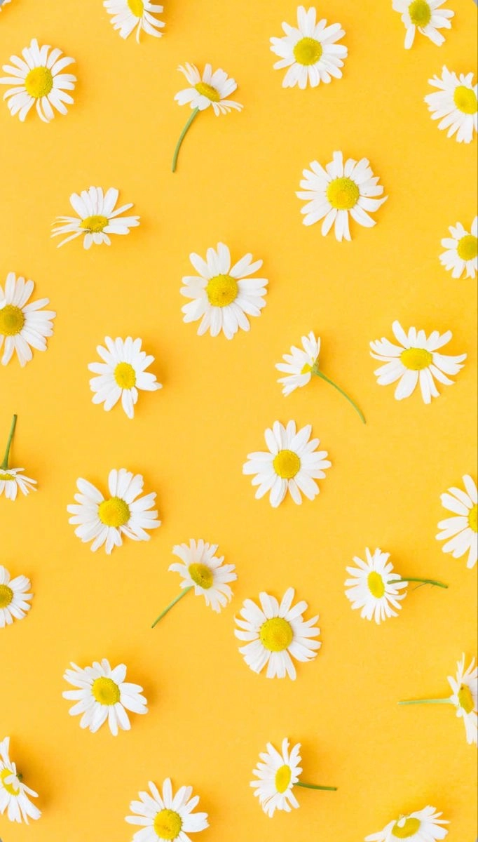 biorundum Heldenbild