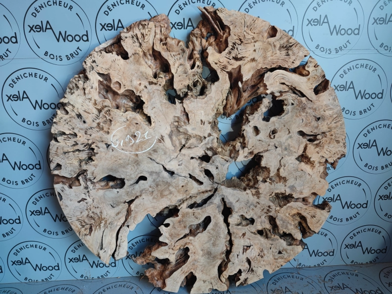 Image héro AlexWood