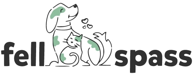 Fellspass Heldenbild