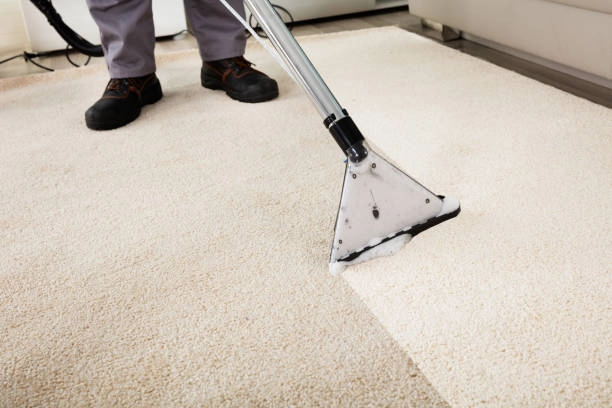 Emergency Carpet Cleaning Williams Landing hero image