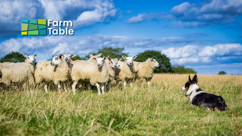 Farm Table hero image