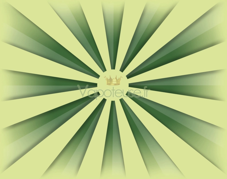 Image héro Vapoteuse.fr