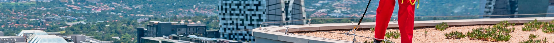 Lineas de Vida imagen destacada