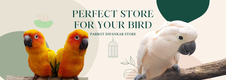 Parrot Dipankar Store hero image