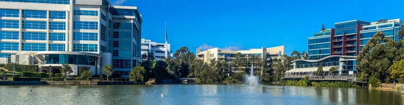 Dank Designs hero image