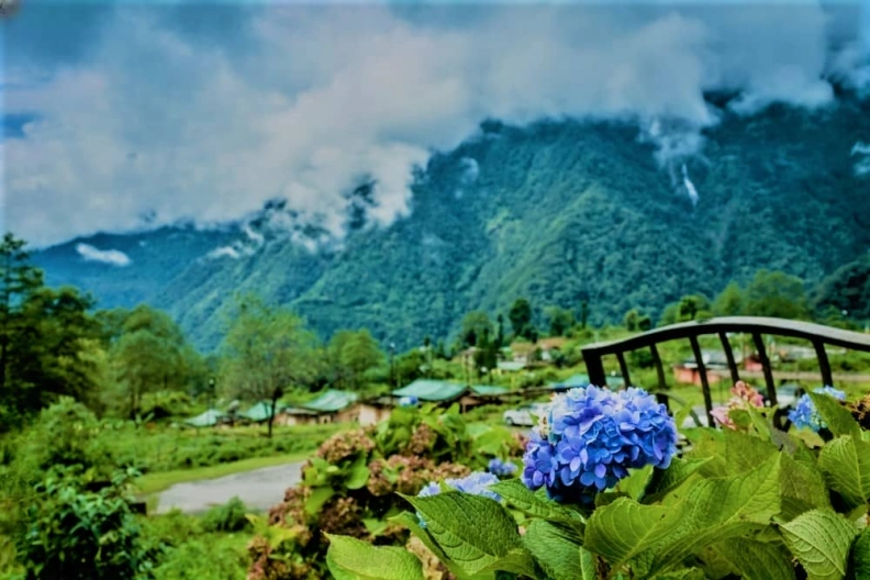 Homestays Sikkim hero image