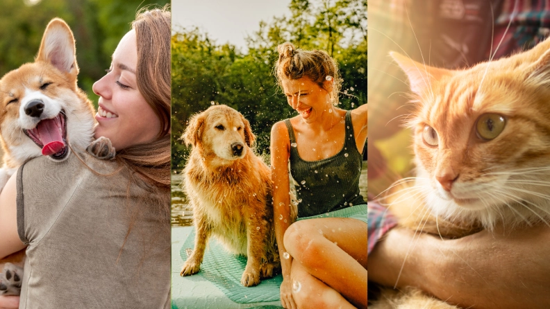 Flamingo Pet Products heldenafbeelding