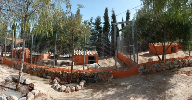 Residencia canina la dama y el vagabundo imagen destacada