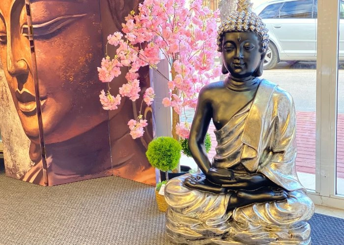 Eledencelestialstore imagen destacada