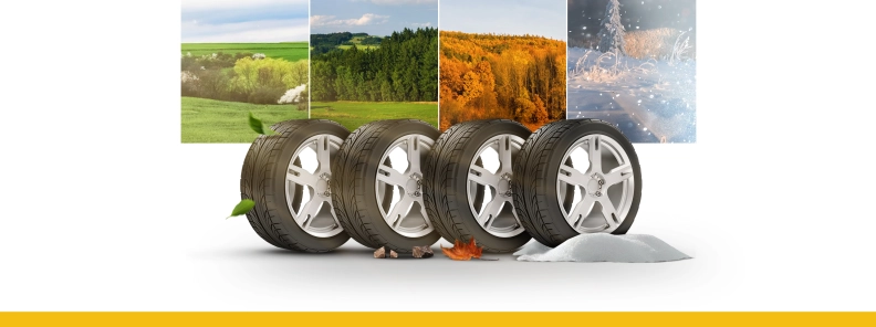 Saburavebi.ge hero image