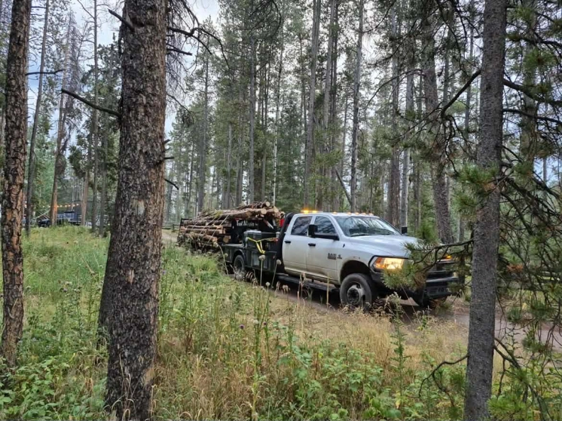 Tree Service Denver LLC hero image