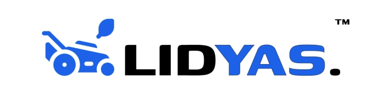 Lidyas LLC hero image
