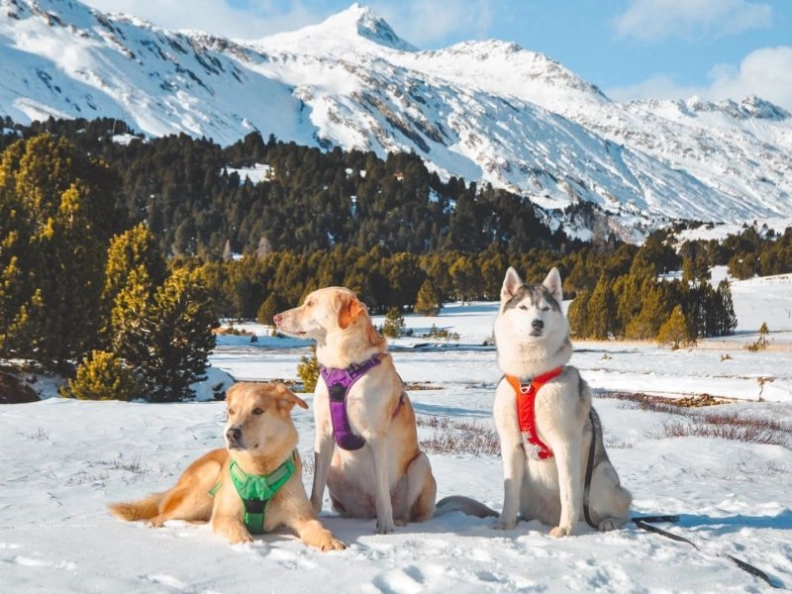 Image héro Truelove-store