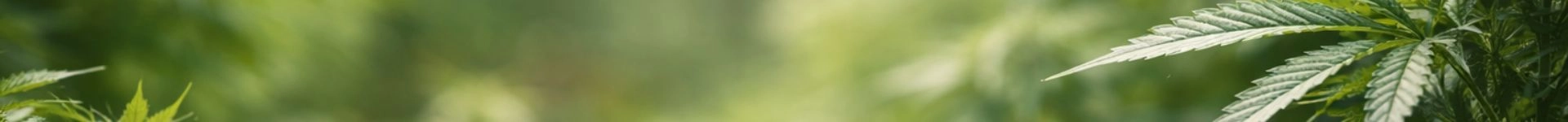 Bulk Genetics imagen destacada