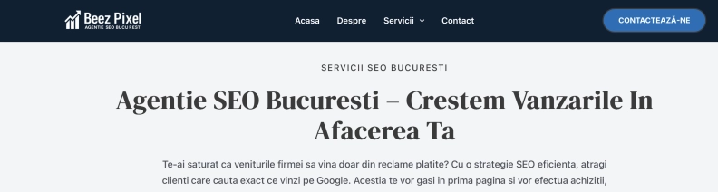 Agentie SEO hero image