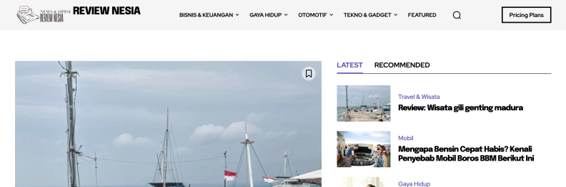 Review Nesia hero image