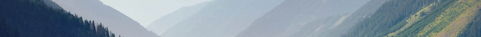 Naturprodukte aus Bambus Heldenbild