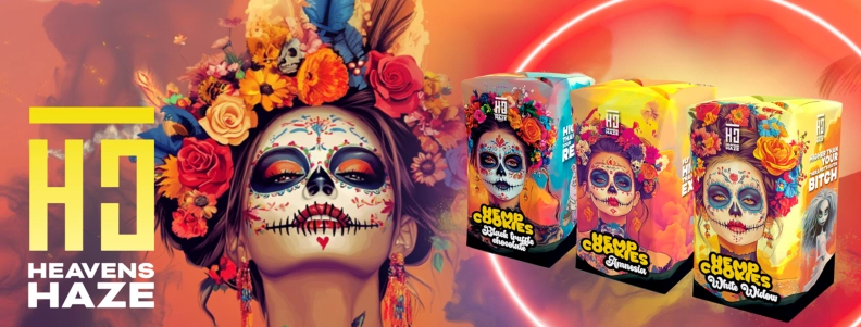 vapestuff24.de Heldenbild