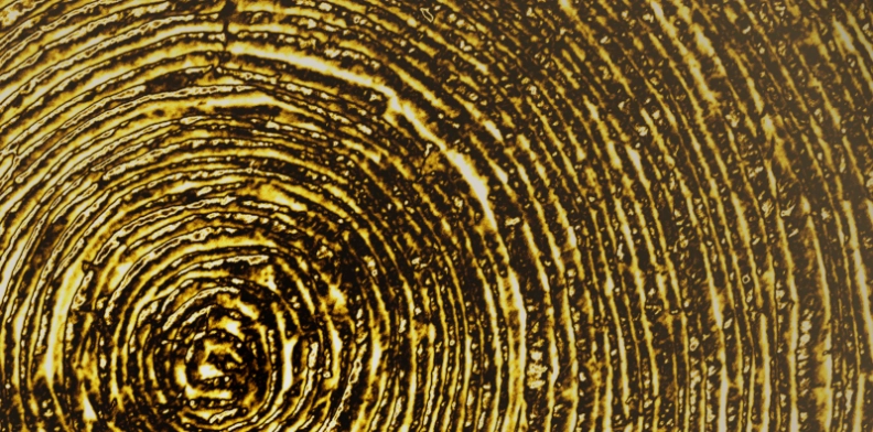 Fractional CIO London - Alchemy Consulting hero image