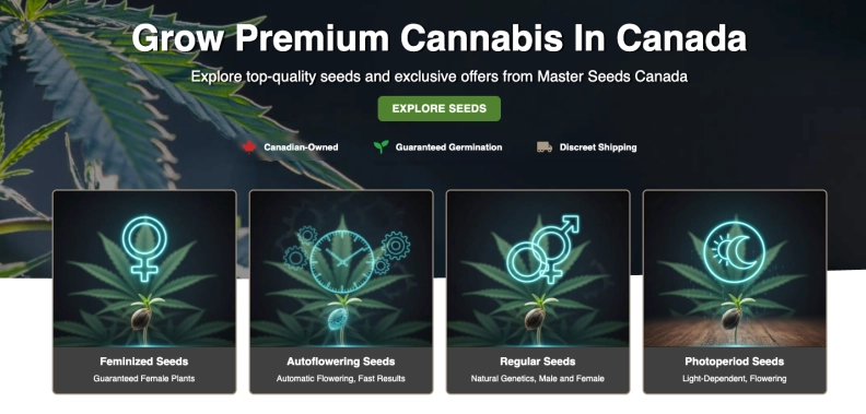 Masterseeds Cannabis Seeds hero image