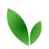 Green My Space