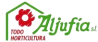aljufia.es