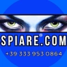 Spiare