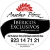anselmoperez.com