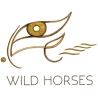 Wild Horse Coaching